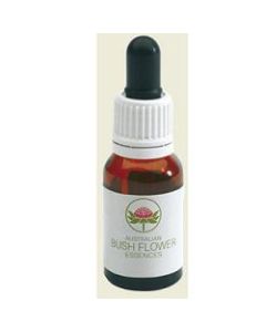 Green Remedies Little Flannel Flower 15 Ml
