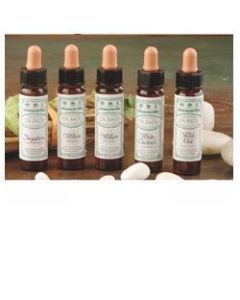 Ainsworths Centaury 10ml
