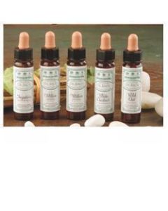 Ainsworths White Chestnut 10ml
