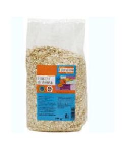 Biotobio Fiocchi Di Avena Bio 500 G