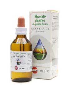 Ficus Carica mg 100ml Gtt