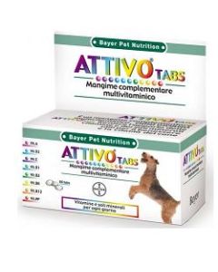 Attivo Tabs 60cpr