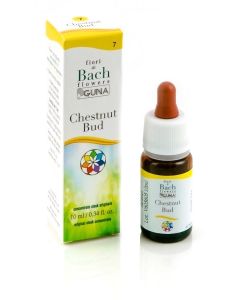Guna Sweet Chestnut Gocce 10 ml Fiori di Bach