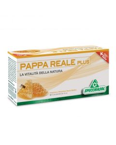 Specchiasol Pappa Reale Plus 12 Flaconcini X 10 Ml