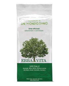 Erba Vita Group Fruit Tea Speziale 100 G