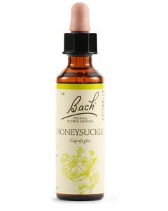 Honeysuckle Bach orig. 20ml Fiore che aiuta a vivere nel presente