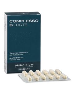 Principium Complesso b Ft24cps