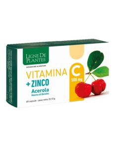 Vitamina c 500mg+zi/ac/ba60cps