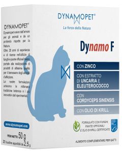 Dynamo f Gatti 20bust Appetibi