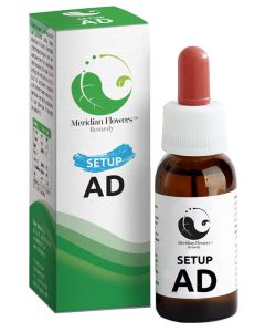 Setup ad Meridian Flowers Rem