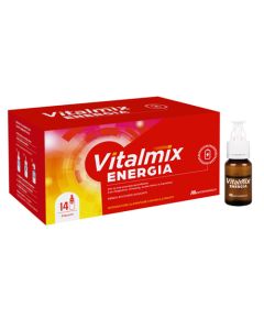 Vitalmix Energia 14fl