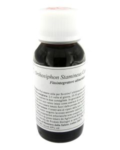 Lvs 65s Orthosiphon Stami Comp