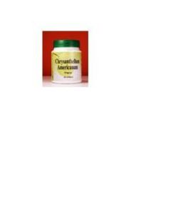 Phytoitalia Chrysantellum Americanum 60 Capsule