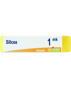 SILICEA MK GL