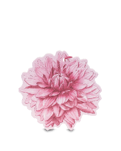 SFUMATURE D FIORE PROFUMATO1PZ