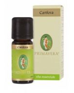 Canfora oe 10ml