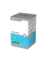 Erba Vita Zinco Integratore Sistema Immunitario 60 Capsule