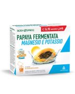 Angelini Energia Papaya Magnesio Potassio 14 Bustine