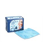 Assorbenti Notte Ali 10pz