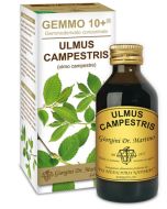 Olmo Camp 100ml Analco Gemm10+