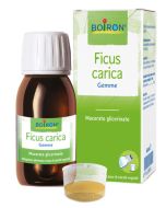 BOIRON Ficus Carica Gemme Integratore Alimentare Macerato Glicerico 60 ml