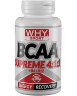 Whysport Bcaa Sup 4:1:1 100cpr