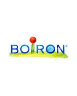 BOIRON DATIF PC 90 Compresse Rimedio omeopatico