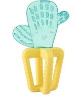Ch Massaggia Fresh Cactus 4m+
