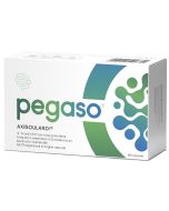 Pegaso Axiboulardi 60cps