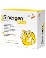 Sinergen Effort 20bust