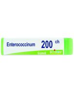 Enterococcinum 200ch gl