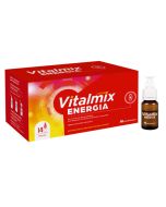 Vitalmix Energia 14fl