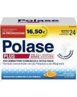 Polase Plus 24bust Promo 2024