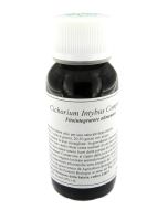 LVS 05N CICHORIUM INTYBUS COMP