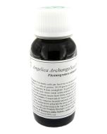 Lvs 06n Angelica Archange Comp