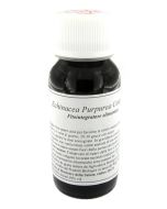 LVS 67S ECHINACEA PURPUREA COM