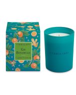 Gin Botanicals Candela Prof ed