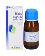RIBES NIGRUM GEMME 60ML MG