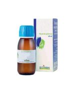 VITIS VINIFERA 60ML MG