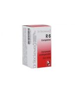 DR. RECKEWEG R6 COMPRESSE 100 mg  Antinfluenzale