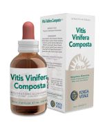 Vitis Vinifera Comp Ecosol Gtt