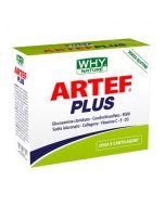 WHYNATURE ARTEF PLUS 12BUST