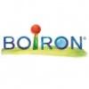 BOIRON SRL